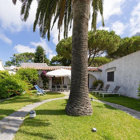 Villetta Con Giardino Esclusivo Di 1000 Mq, Piscina, Tennis, Calcio, Bocce Forio (Isola d'Ischia) Exterior foto
