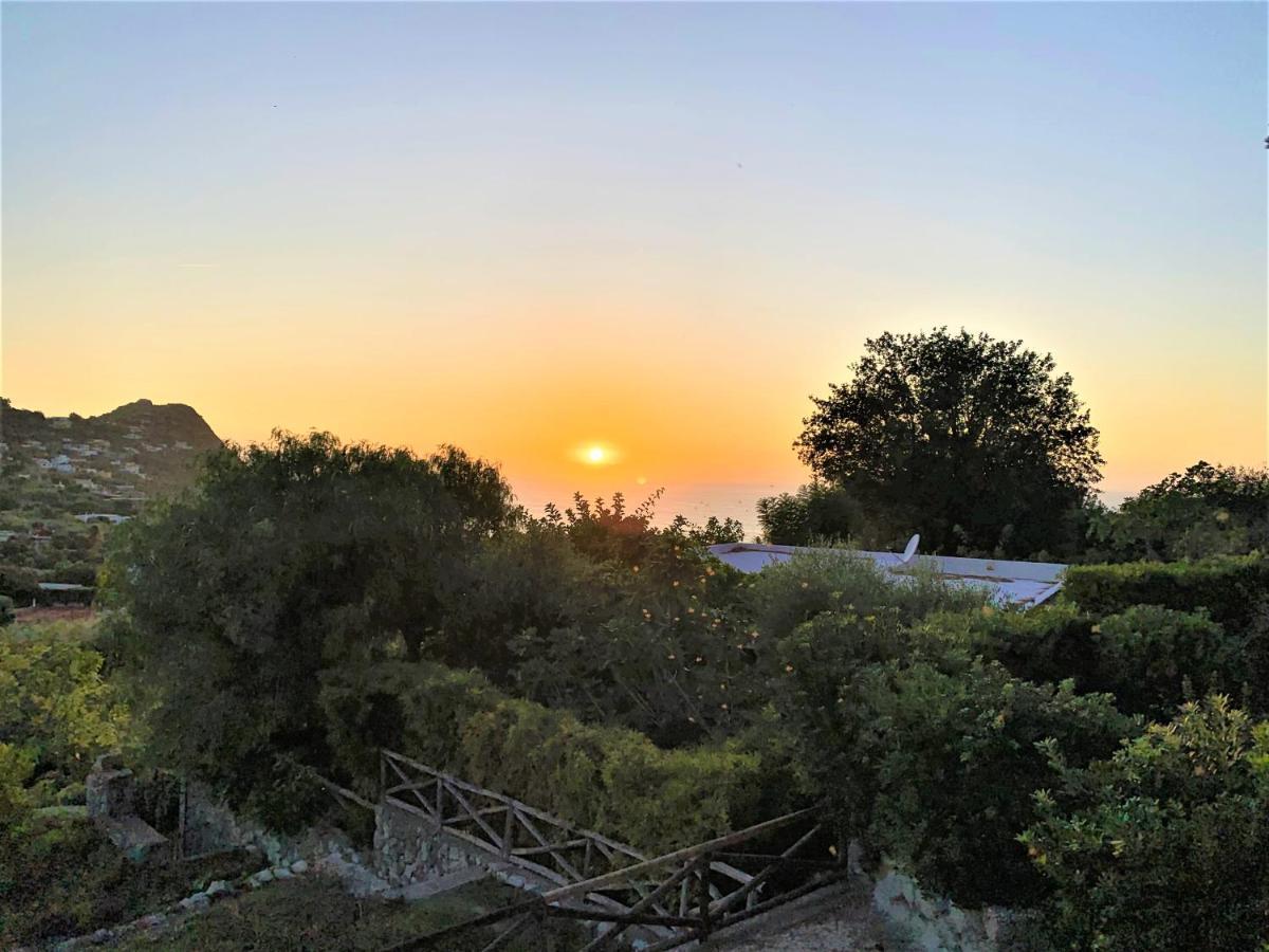 Villetta Con Giardino Esclusivo Di 1000 Mq, Piscina, Tennis, Calcio, Bocce Forio (Isola d'Ischia) Exterior foto