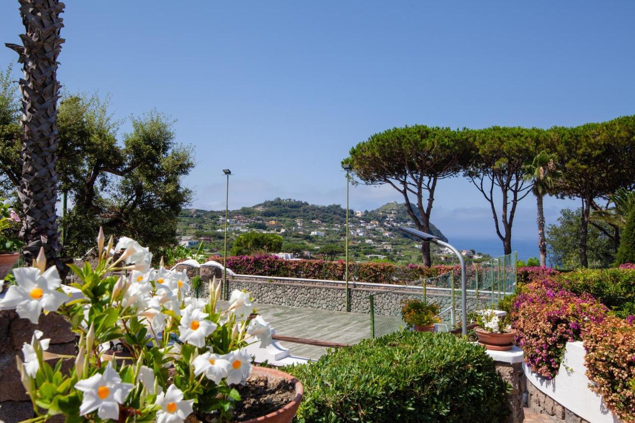 Villetta Con Giardino Esclusivo Di 1000 Mq, Piscina, Tennis, Calcio, Bocce Forio (Isola d'Ischia) Exterior foto