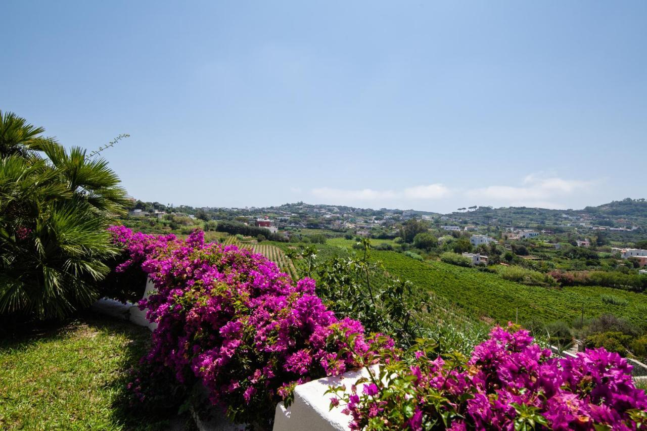 Villetta Con Giardino Esclusivo Di 1000 Mq, Piscina, Tennis, Calcio, Bocce Forio (Isola d'Ischia) Exterior foto