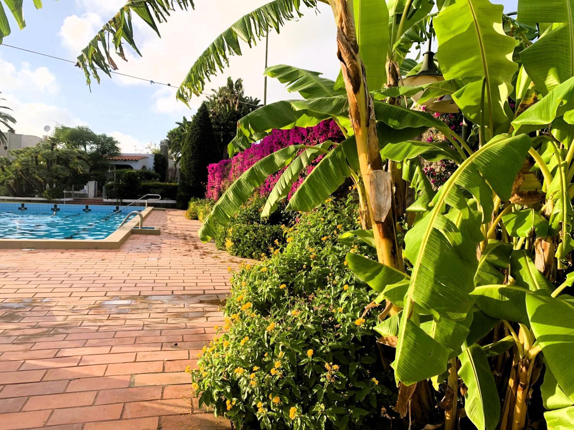 Villetta Con Giardino Esclusivo Di 1000 Mq, Piscina, Tennis, Calcio, Bocce Forio (Isola d'Ischia) Exterior foto