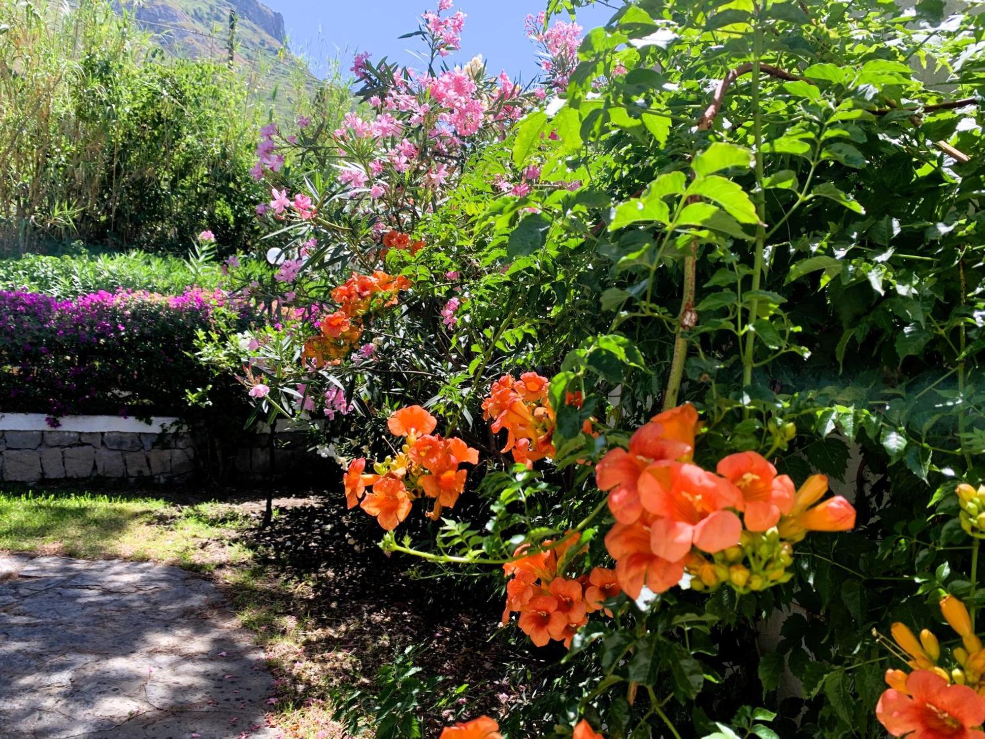 Villetta Con Giardino Esclusivo Di 1000 Mq, Piscina, Tennis, Calcio, Bocce Forio (Isola d'Ischia) Exterior foto