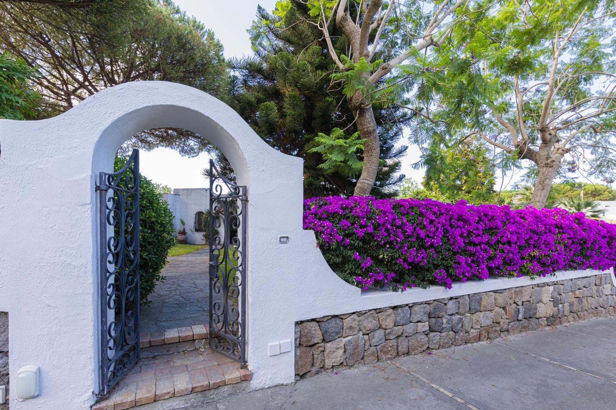 Villetta Con Giardino Esclusivo Di 1000 Mq, Piscina, Tennis, Calcio, Bocce Forio (Isola d'Ischia) Exterior foto