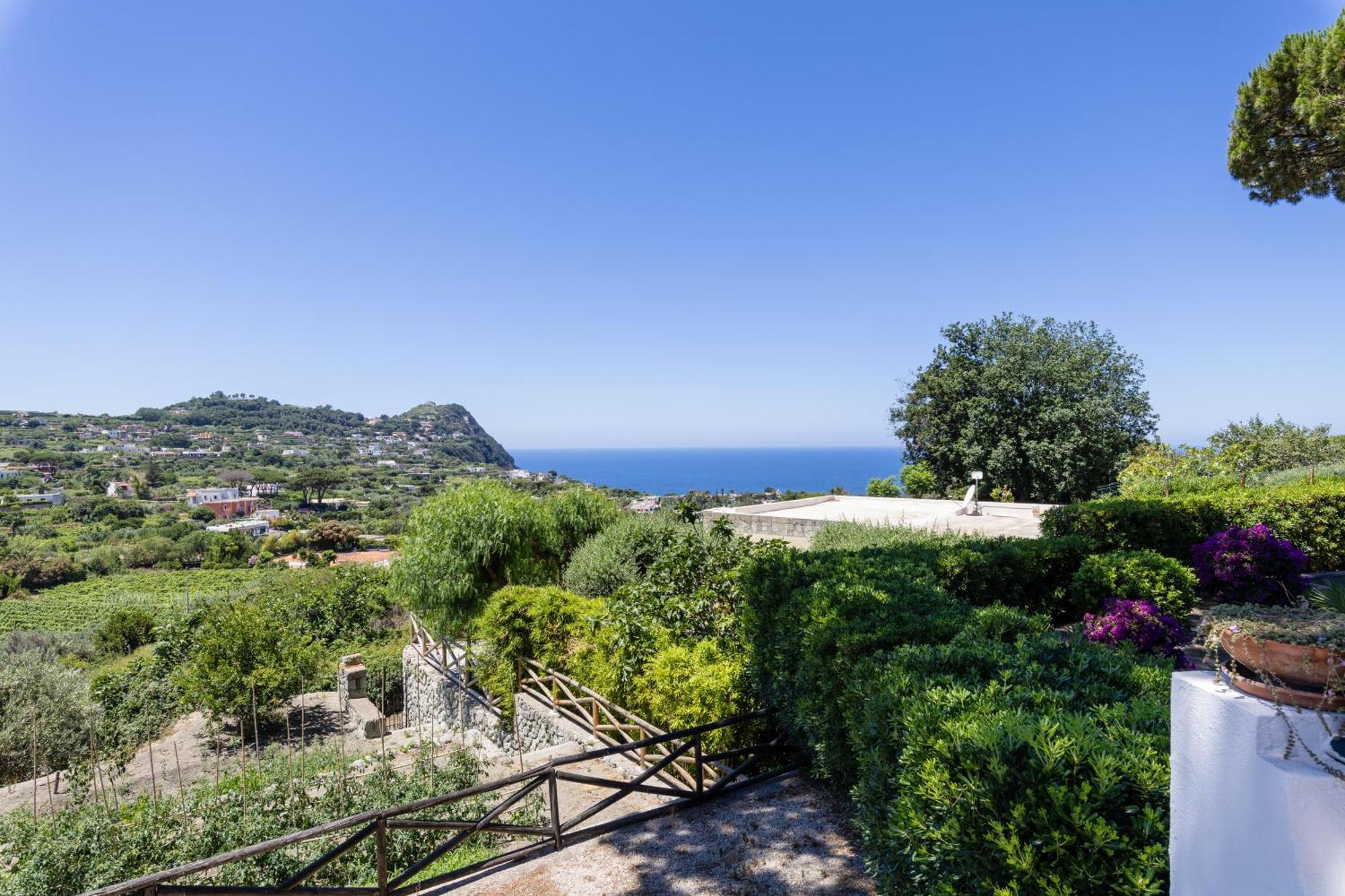 Villetta Con Giardino Esclusivo Di 1000 Mq, Piscina, Tennis, Calcio, Bocce Forio (Isola d'Ischia) Exterior foto