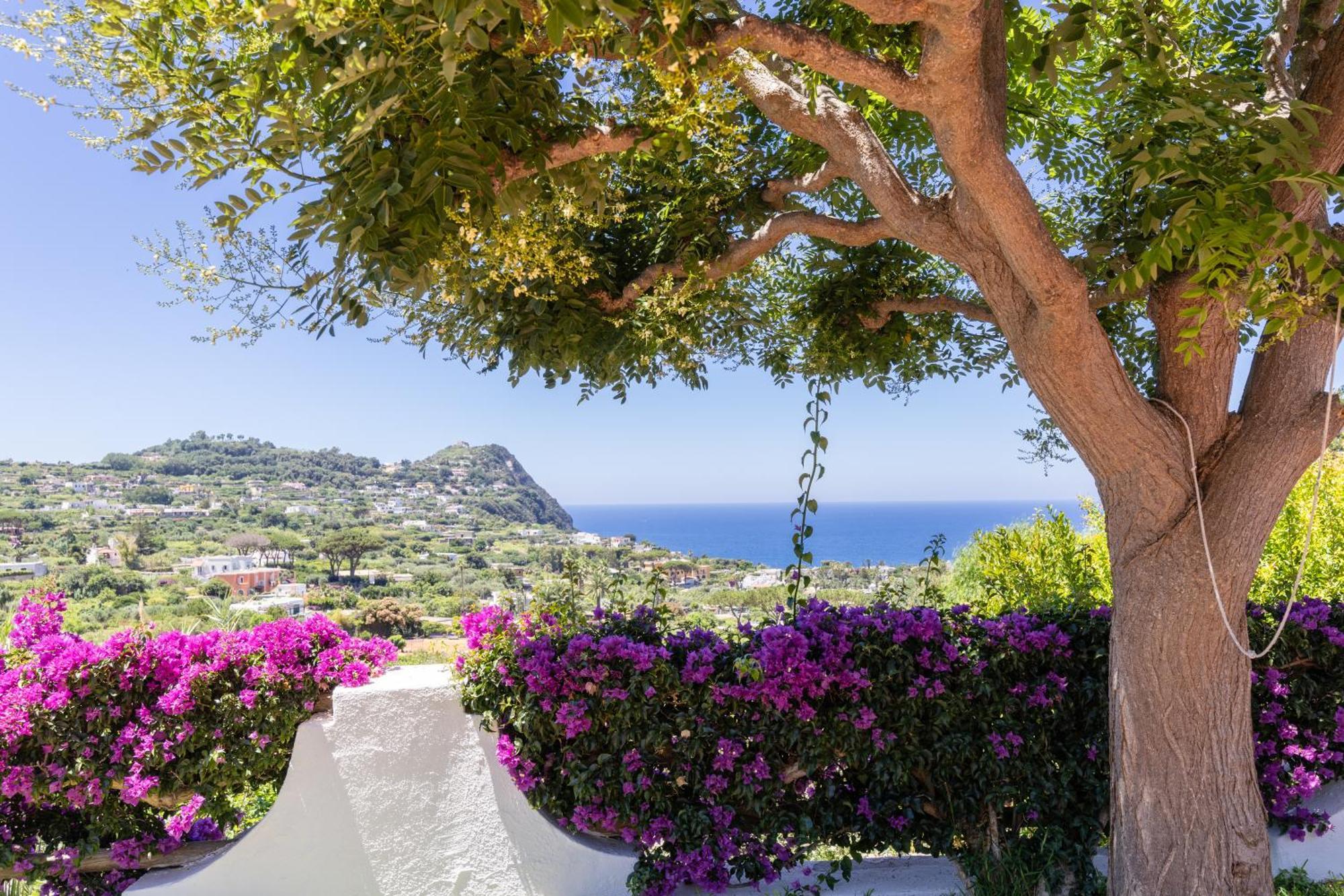 Villetta Con Giardino Esclusivo Di 1000 Mq, Piscina, Tennis, Calcio, Bocce Forio (Isola d'Ischia) Exterior foto