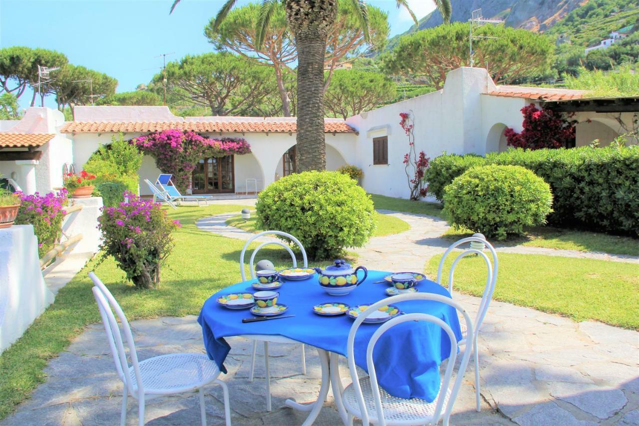 Villetta Con Giardino Esclusivo Di 1000 Mq, Piscina, Tennis, Calcio, Bocce Forio (Isola d'Ischia) Exterior foto